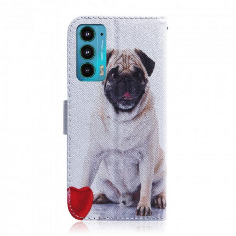 Κάλυμμα Motorola Edge 20 Pug Dog