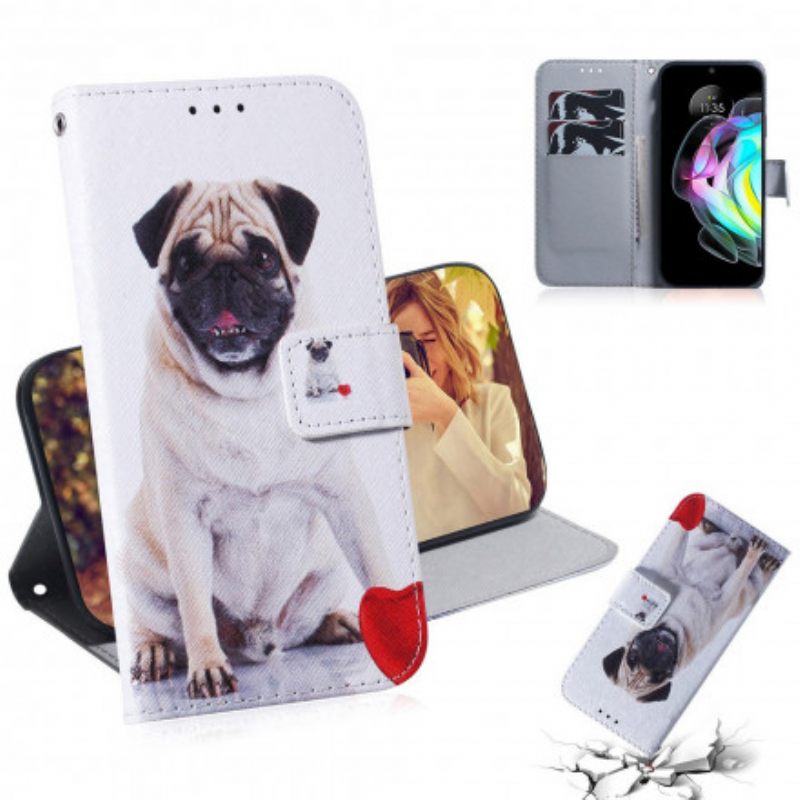 Κάλυμμα Motorola Edge 20 Pug Dog