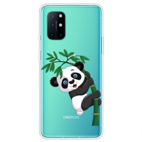 Θήκη OnePlus 8T Άνευ Ραφής Panda Στο Μπαμπού