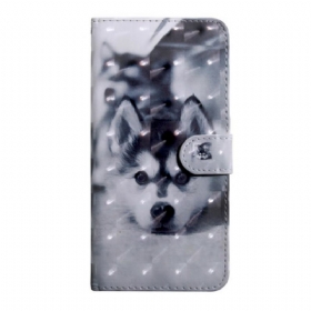 Θήκη Flip iPhone 13 Mini Light Spot Gustave The Dog