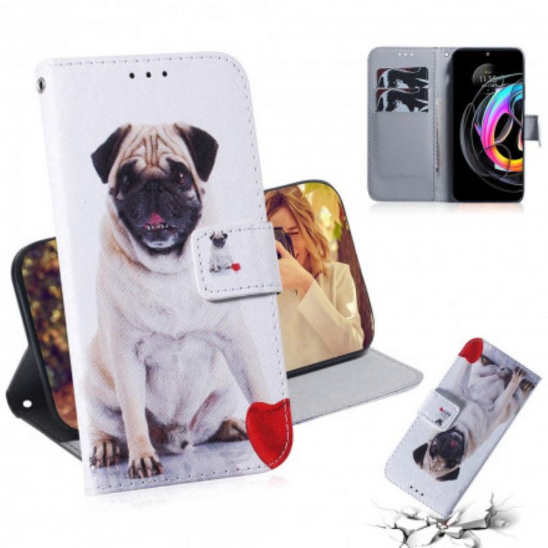 Κάλυμμα Motorola Edge 20 Lite Pug Dog